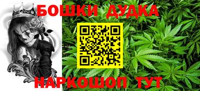 тгк Обь