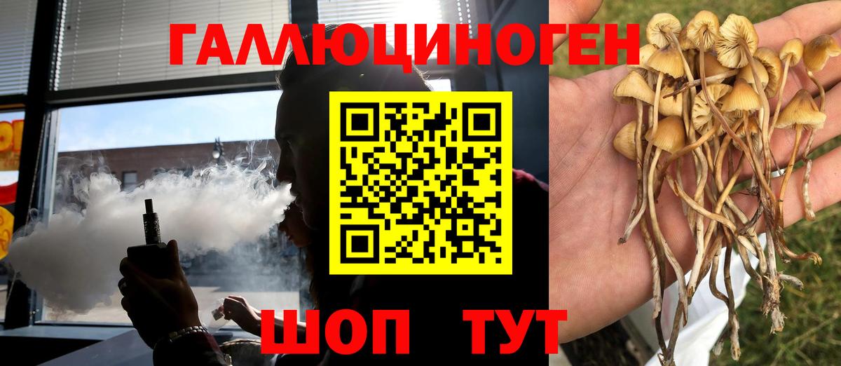 Пыть-Ях  Псилоцибиновые грибы GOLDEN TEACHER  Вход с VPN  Псилоцибиновые грибы Magic Shrooms 